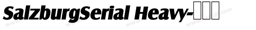 SalzburgSerial Heavy字体转换